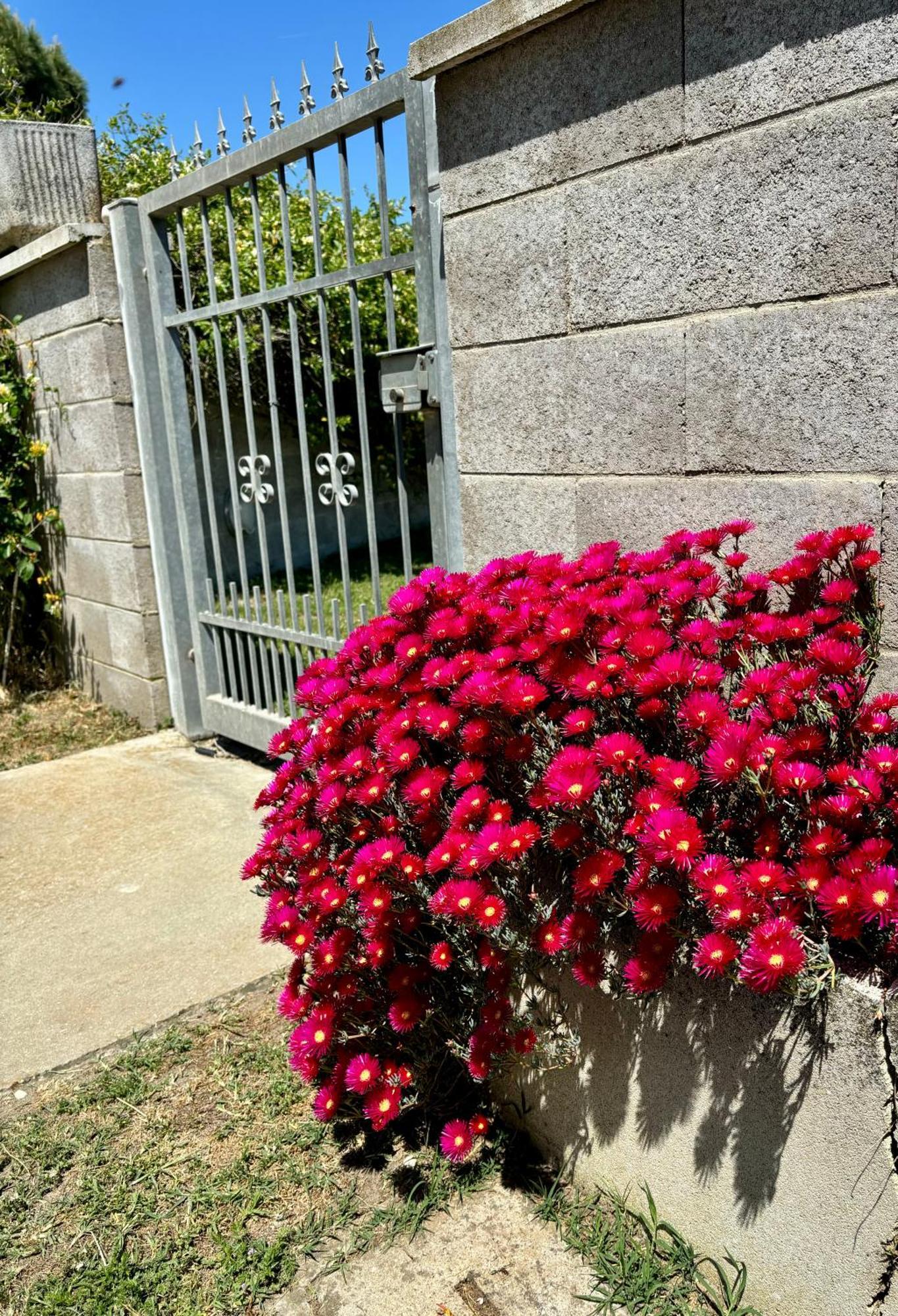 Bed and Breakfast Tra Campagna E Mare Lido delle Nazioni Exterior foto